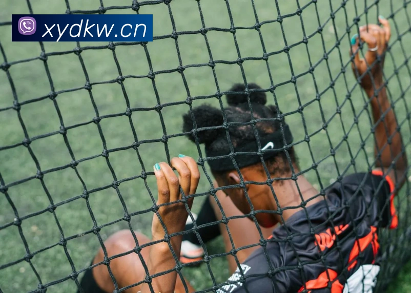 开云在线登录入口官网平台生态图